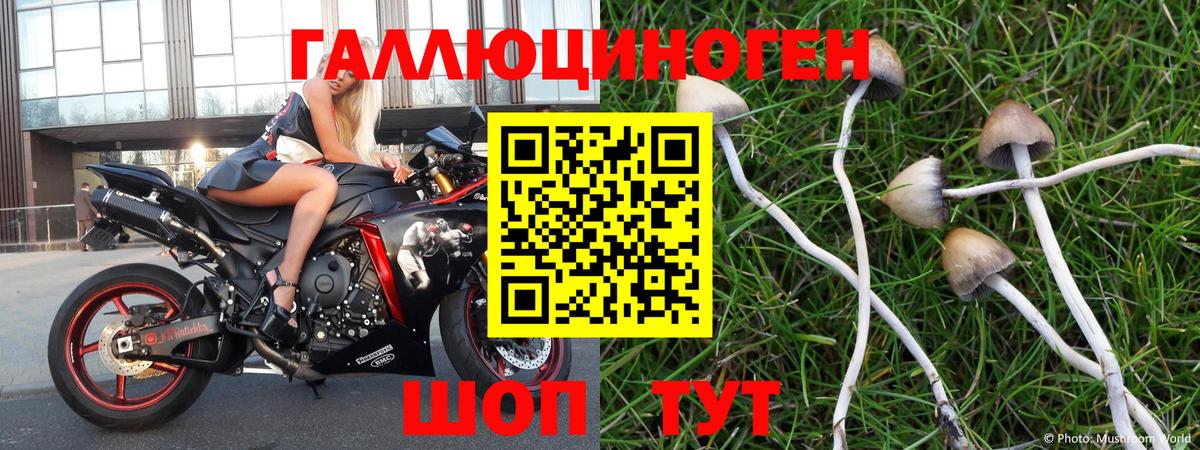 Владимир  Галлюциногенные грибы мухоморы  Вход с VPN  Галлюциногенные грибы Magic Shrooms 